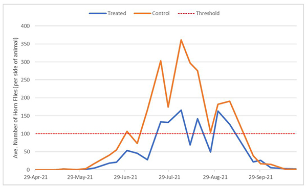 Graph of average number of horn flies in treated vs. control cattle